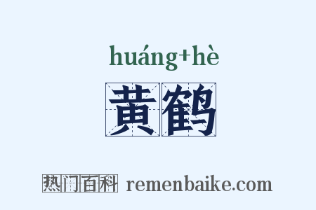 黄鹤是什么意思的图片